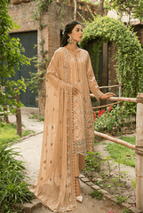 Zebtan ZL-3-Skin Luxury Lawn Collection