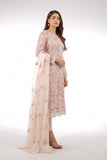 Bareeze BNL1969 Peach Spring Summer Casual Collection