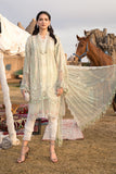 Maria B D10 A Lawn Collection 2021