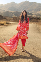 Gul Ahmed Cl-1274 Roselene Collection  2021