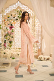 Dhanak DL-0256 Orange Luxury Pret
 2024