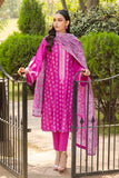 Gul Ahmed BN-32002 Pre Cambric Collection