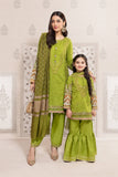 Maria B Green DW-EF22-34 Eid Pret 2022 Online Shopping