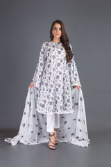 Bareeze Night Canvas Mc691 White Dress