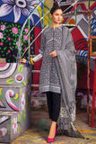 Gul Ahmed B-22001 Lawn Essential 2022