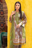 Gul Ahmed CL-22029 Lawn Essential 2022