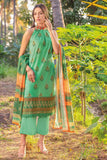 Gul Ahmed CL-22080 B Lawn Essential 2022