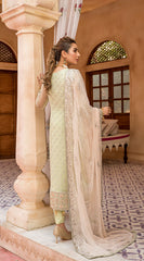 Zebtan ZN-07 Zeenat Chiffon Collection 2022